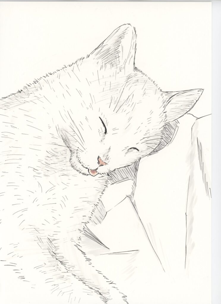 ねる猫