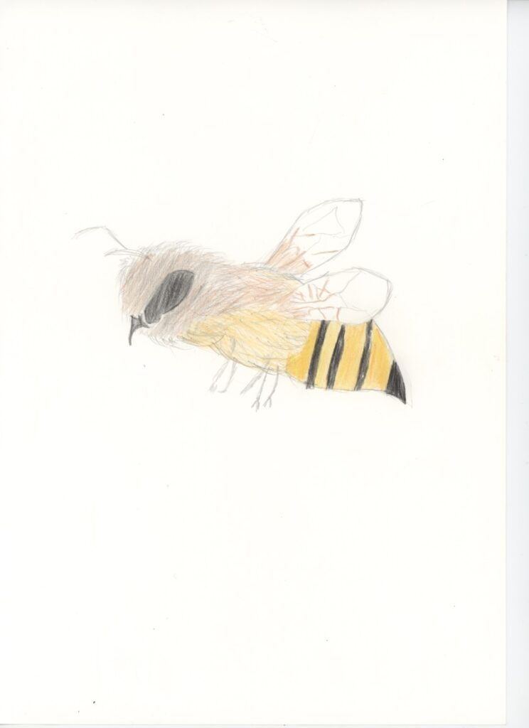 蜂