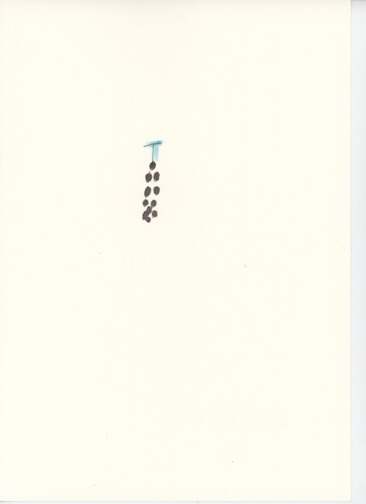 葡萄