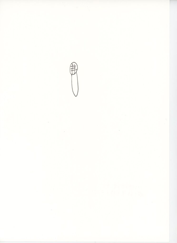 杓文字です