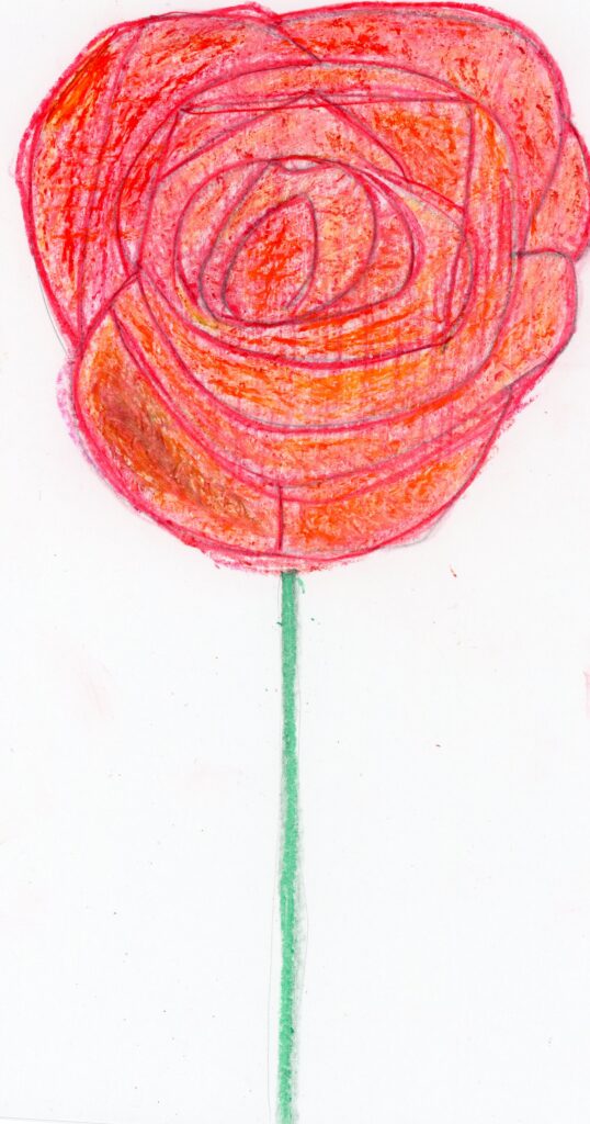 バラの花