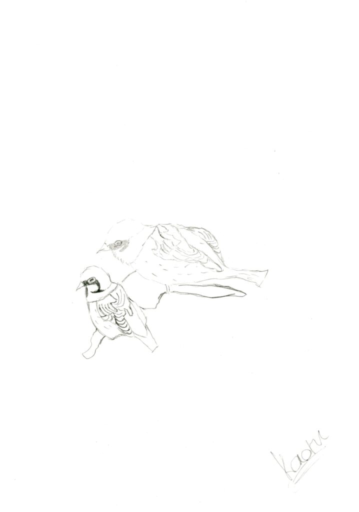 すずめ