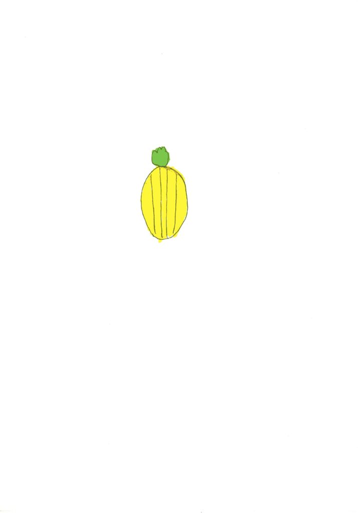 パプリカです
