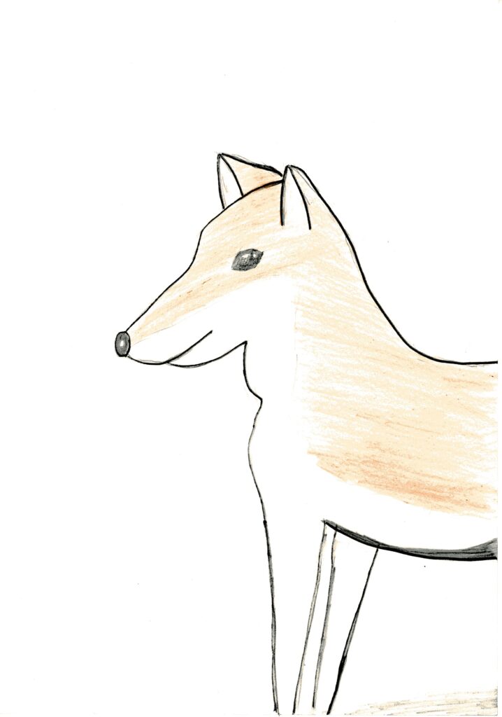 柴犬(前)