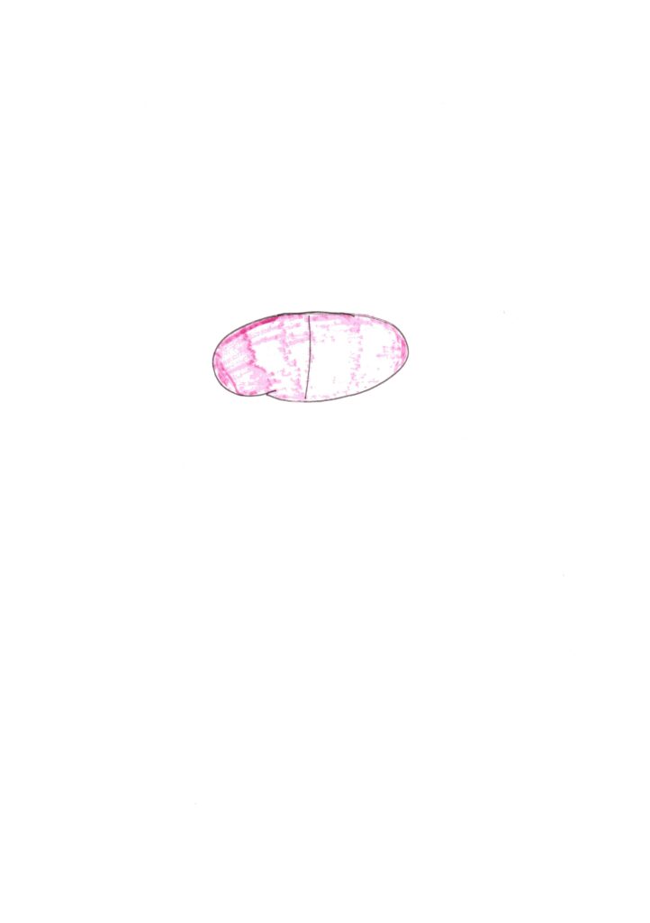焼芋です