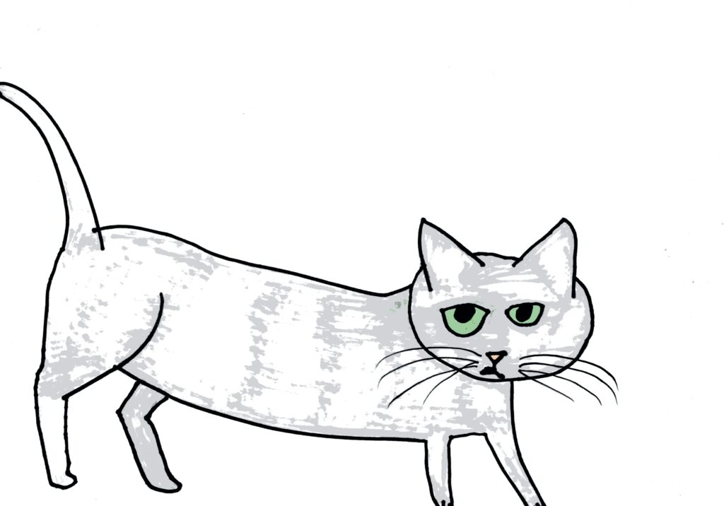 作品