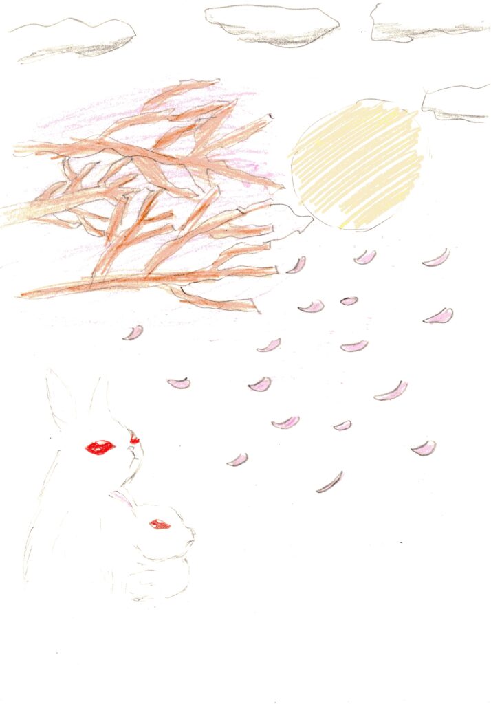 作品