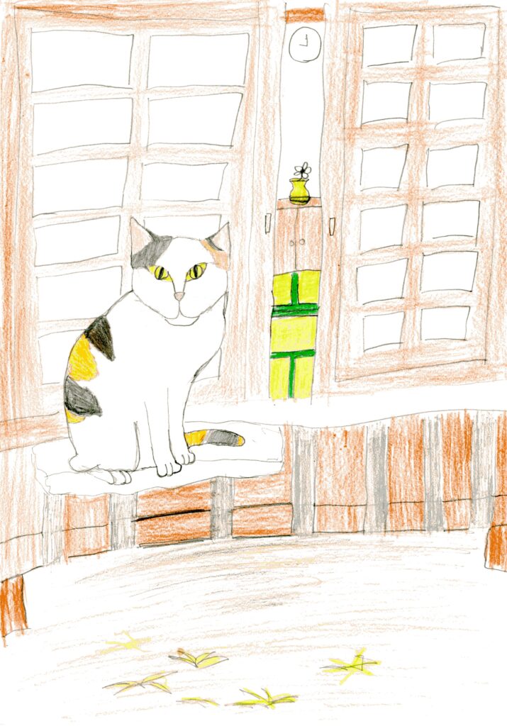 猫