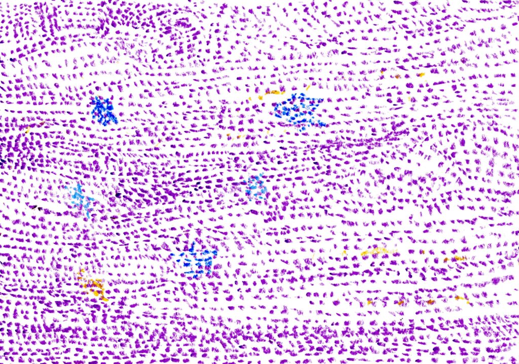 夜空