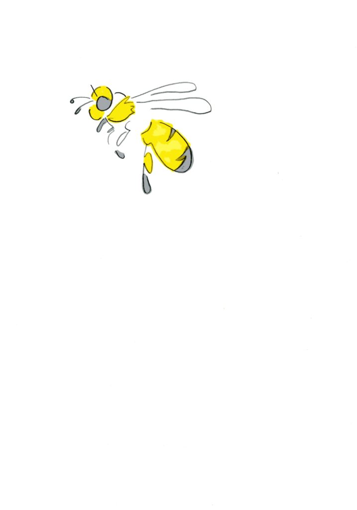 蜂