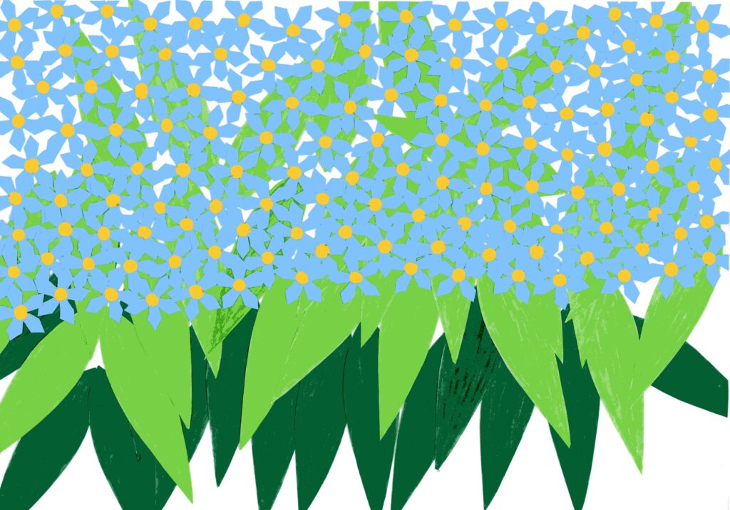 わすれな草