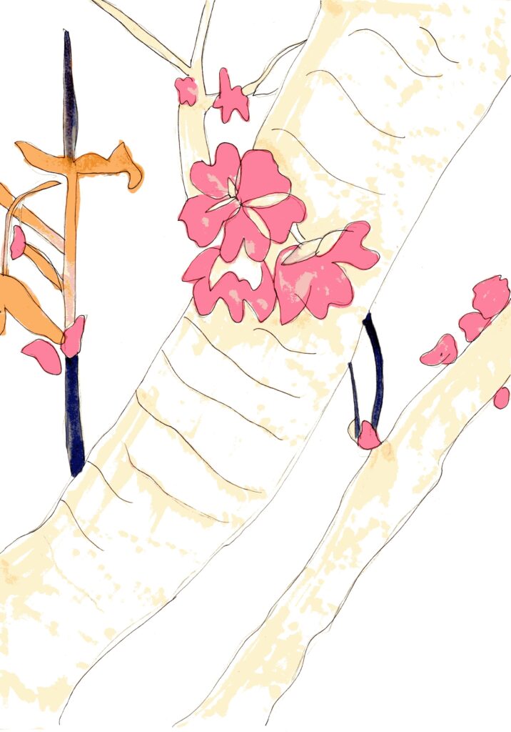 作品