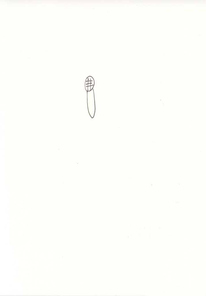 作品