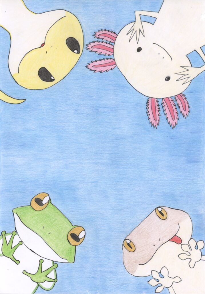 おててあにまる(カエル・トカゲ・ウーパールーパー・ヘビ)