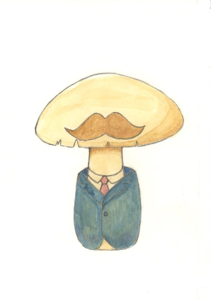 ミスター タマゴダケ