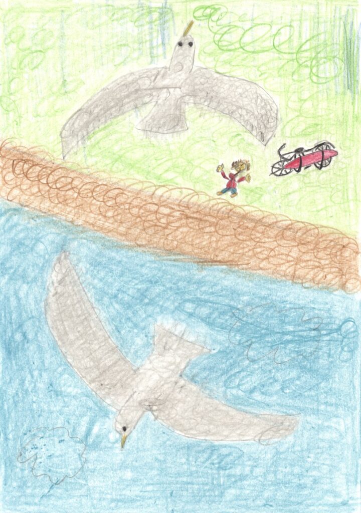 頂に来たサーファーとかもめ