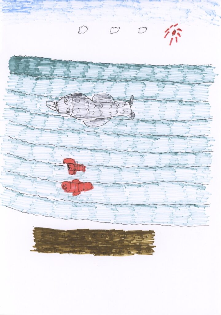 青空とシャチとニモとマーリンと砂浜