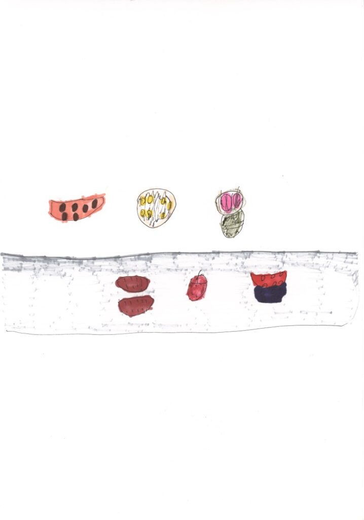 ラー麺とピザとタコ焼きと西瓜と薩摩芋