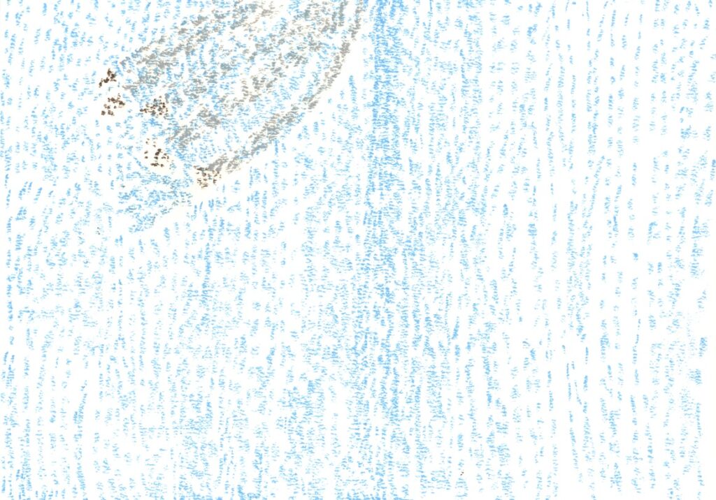 ブルーインパルス