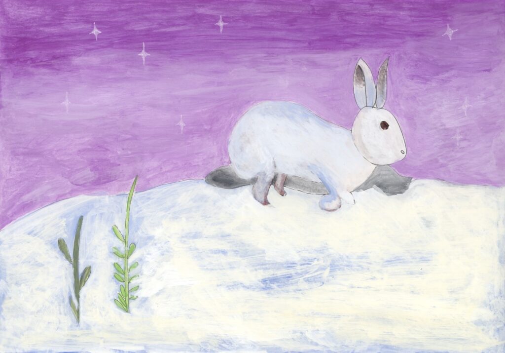 雪の上のうさぎ