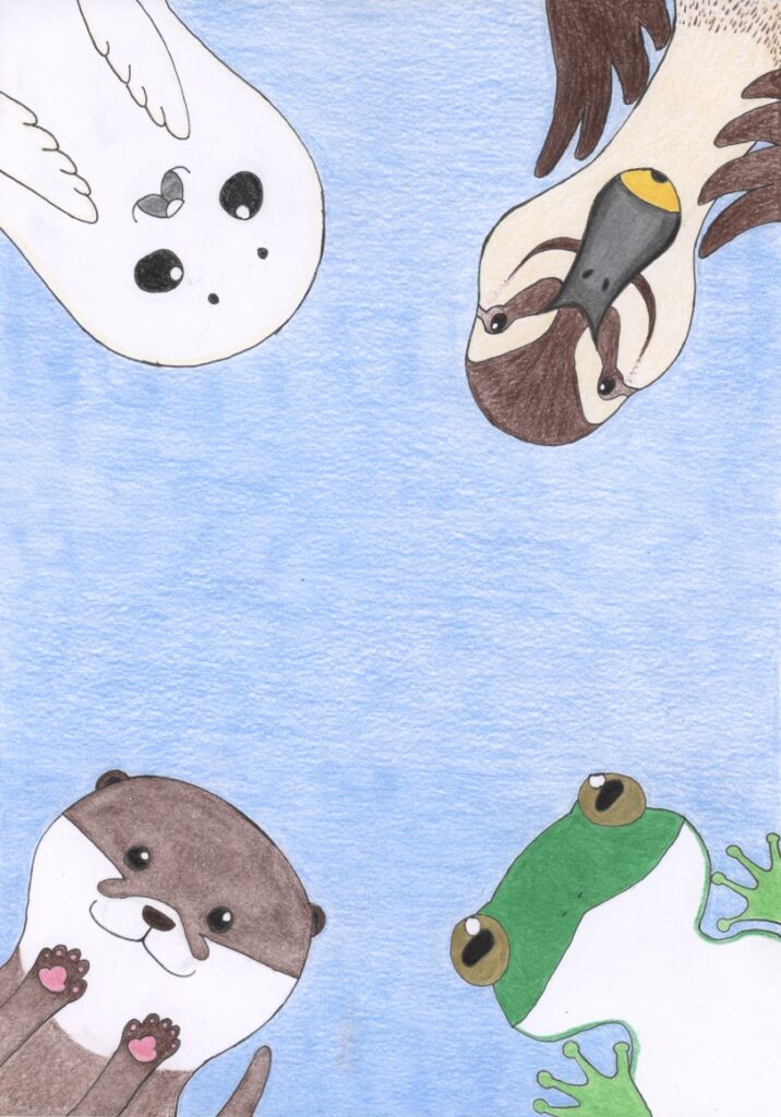 おててあにまる　水の生物シリーズ　カエル・カワウソ・アザラシ・カルガモ