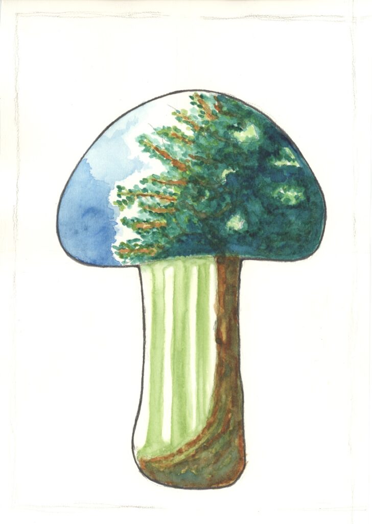 のぞけばみえるもの