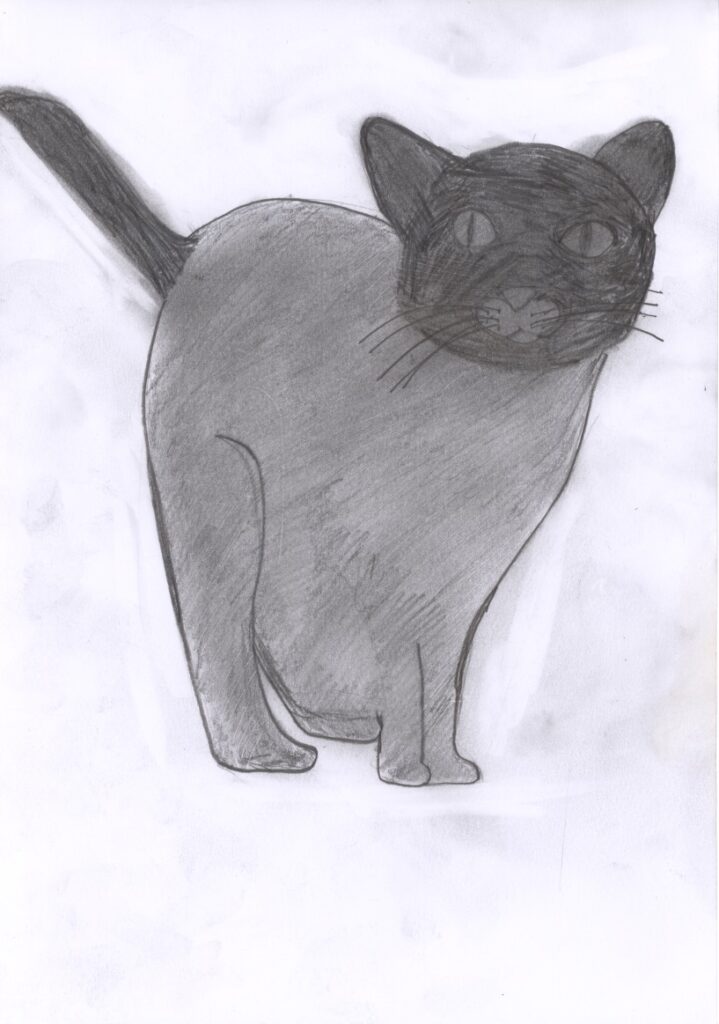 大好きなくろネコ