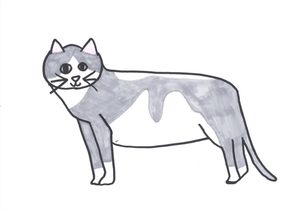 ねこには、ネコ好きと知られてる？