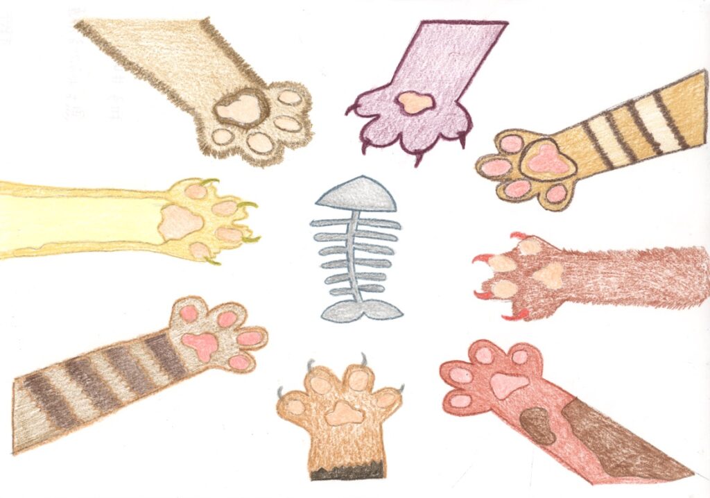 魚をねらっているネコ達