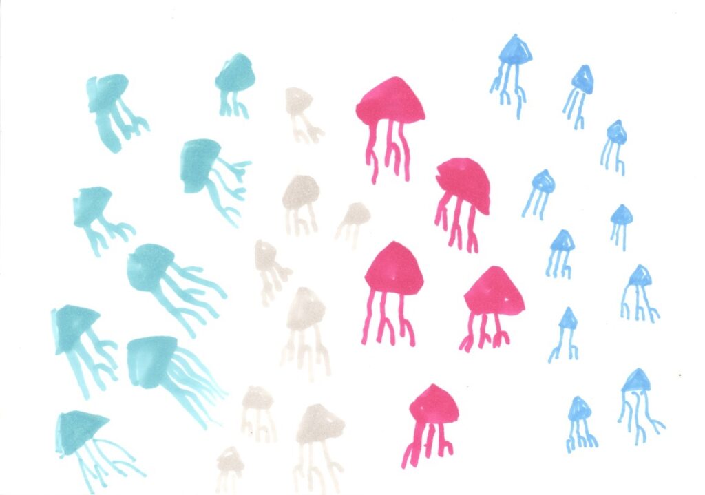 いろんなクラゲ