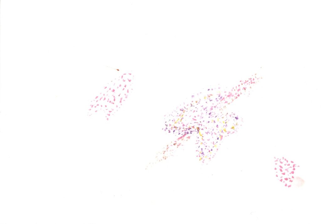 桜のライトアップ