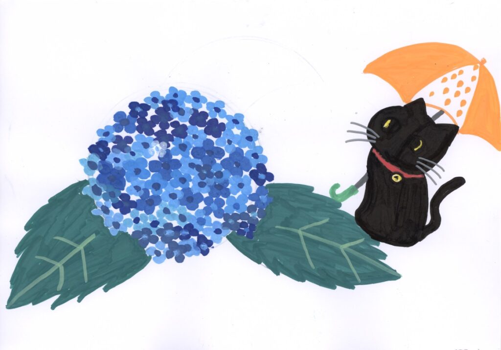 あじさいとネコ