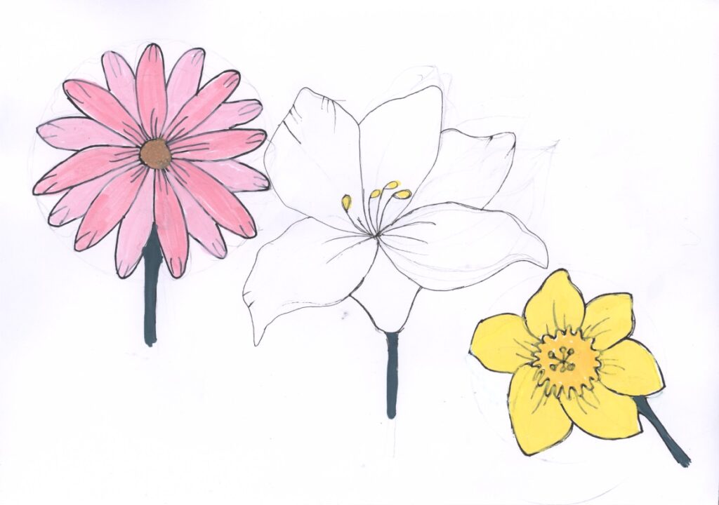 すいせん、ゆり、コスモス