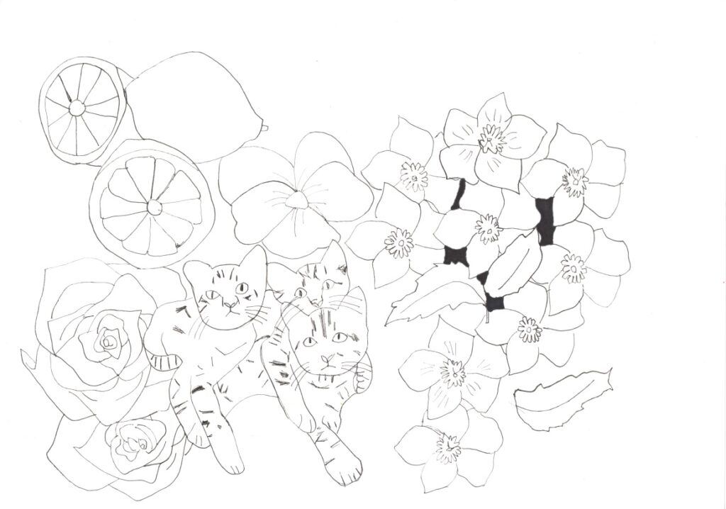 ネコの3兄弟とクリスマスローズ、パンジー、レモン