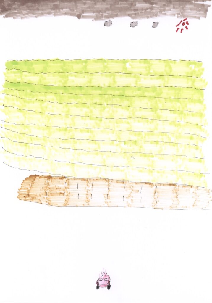 真っ黒の空と日本海と砂浜と蟹