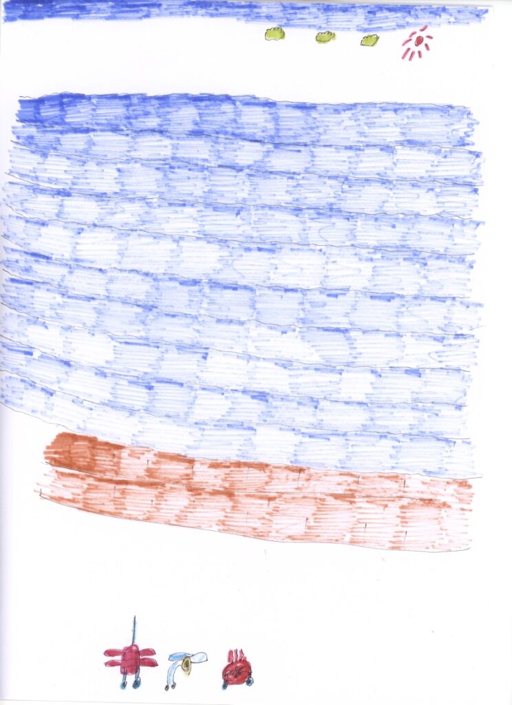 青空と日本海と砂浜と蟹と蝸牛と赤蜻蛉