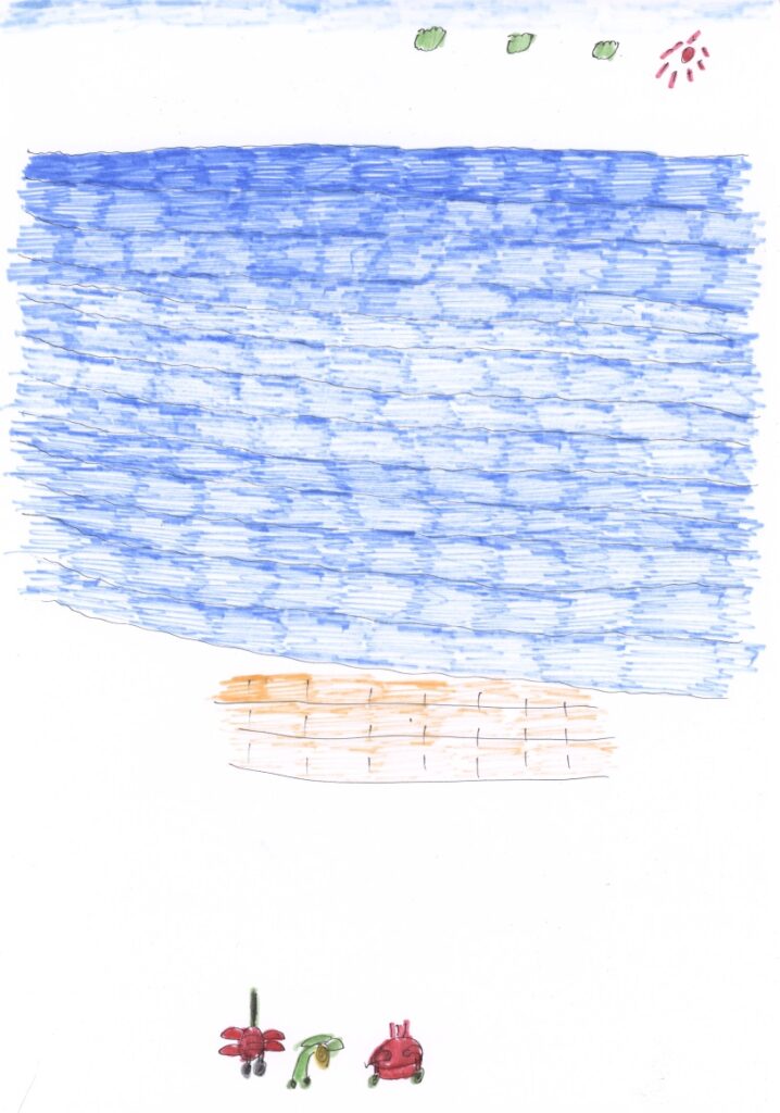 青空と海と砂浜と蟹と蝸牛と赤蜻蛉