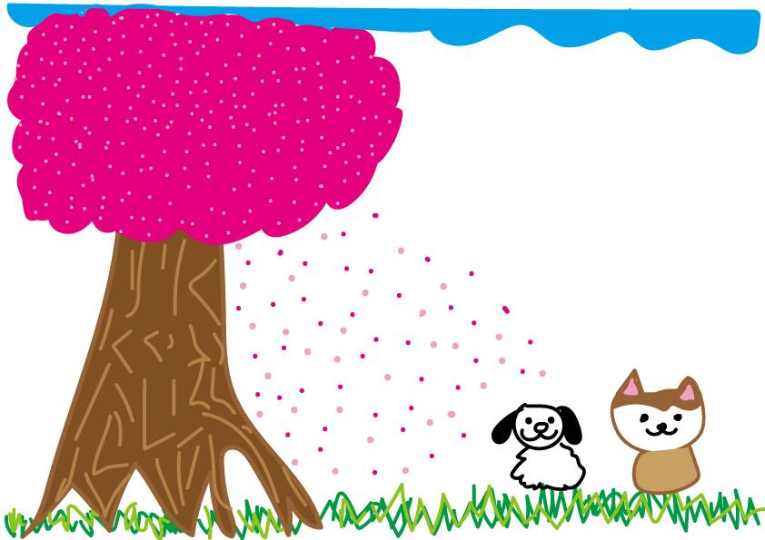 さくらみつけた