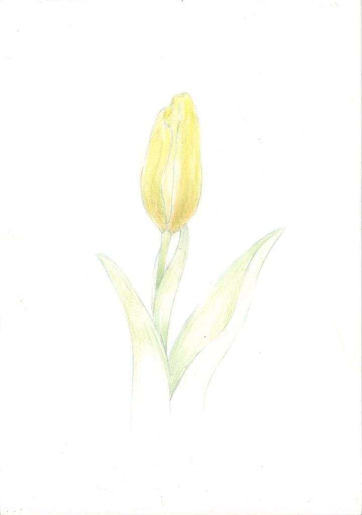 作品