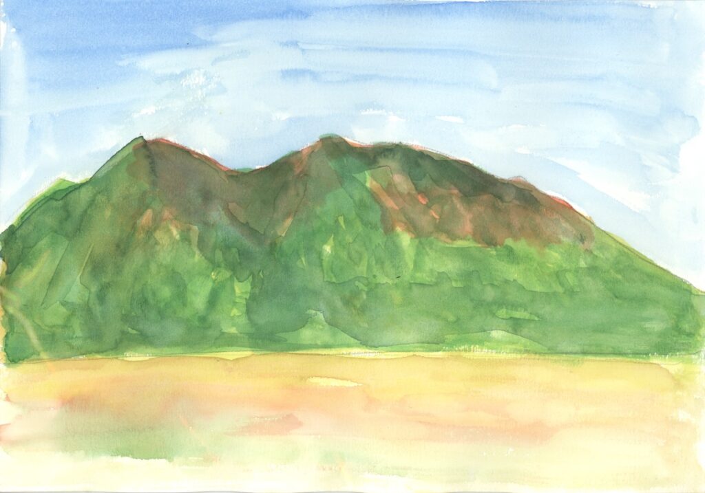 模写