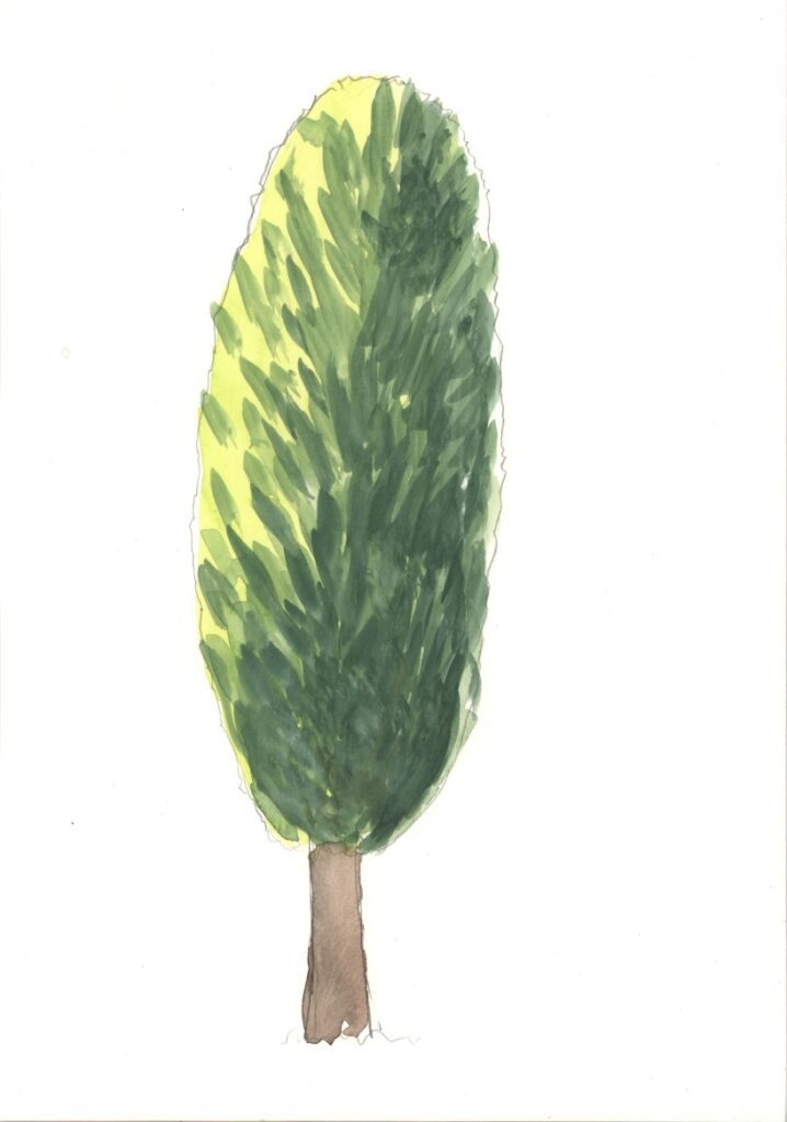 作品