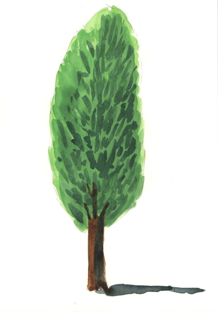 作品