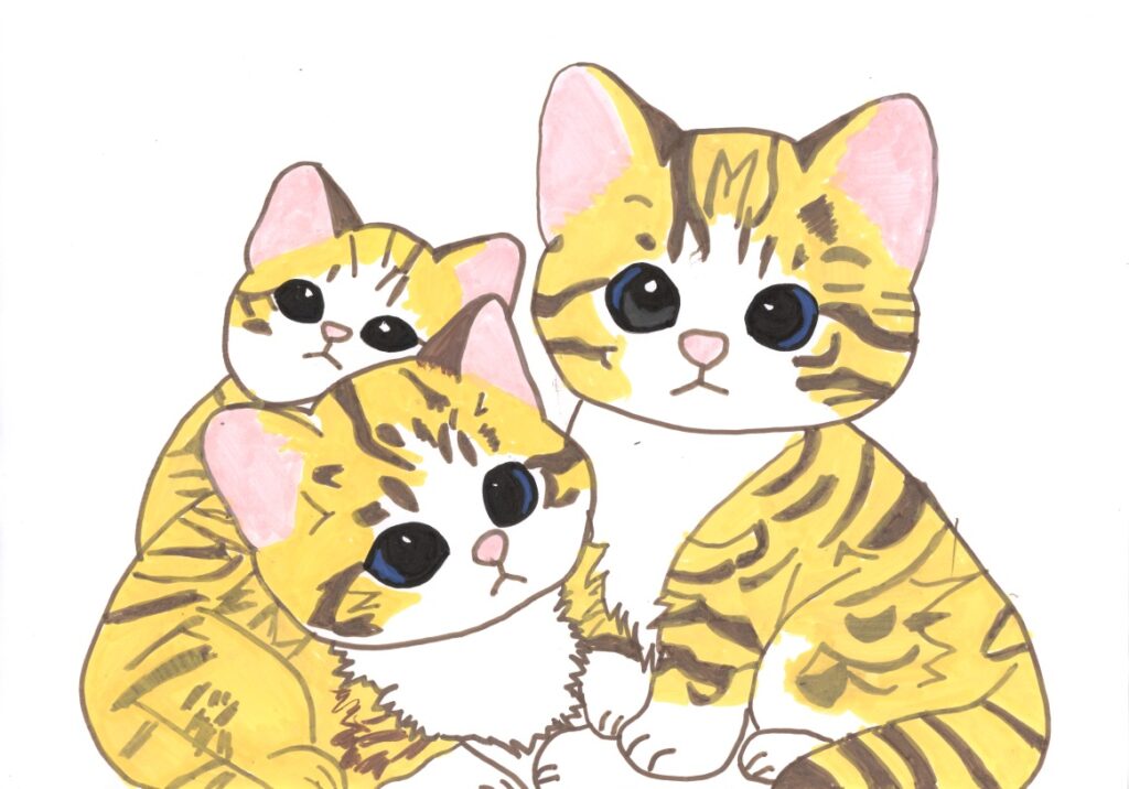 3匹の子猫