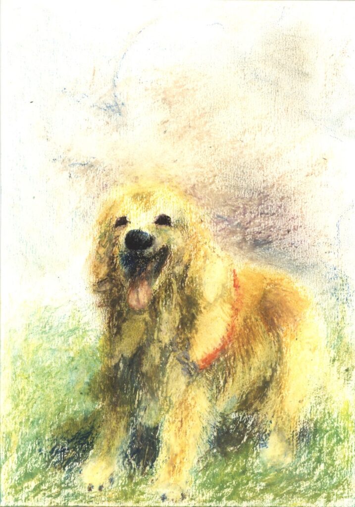 依頼作品