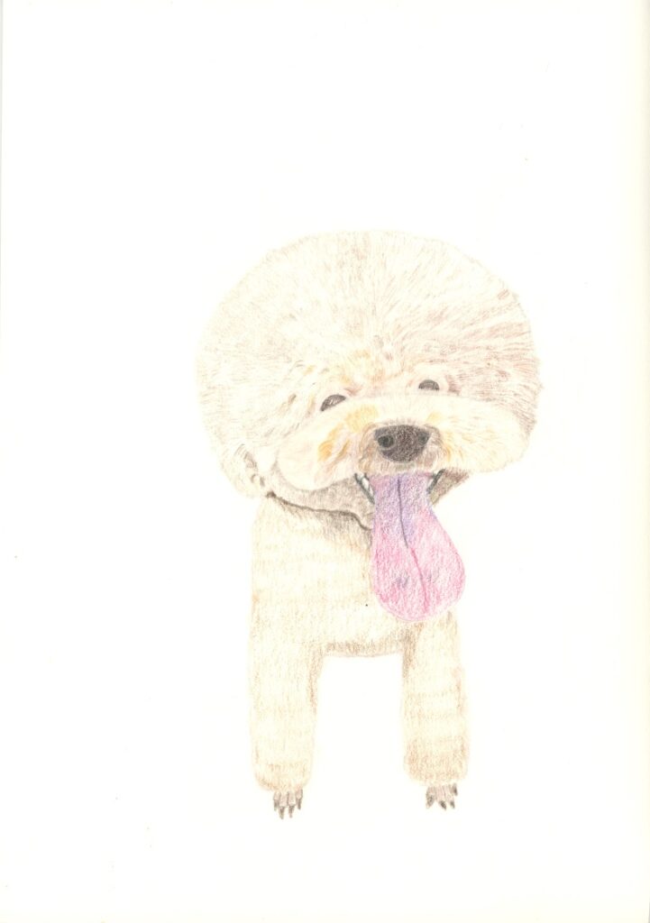 依頼作品