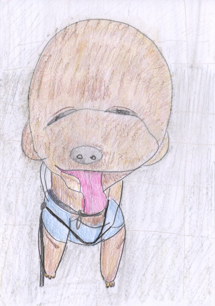 依頼作品