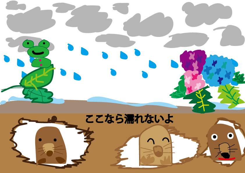 ここなら濡れないよ