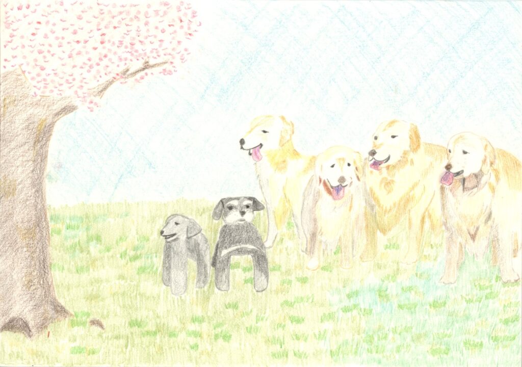 依頼作品