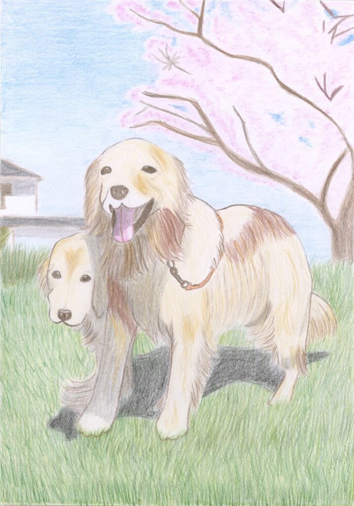 依頼作品