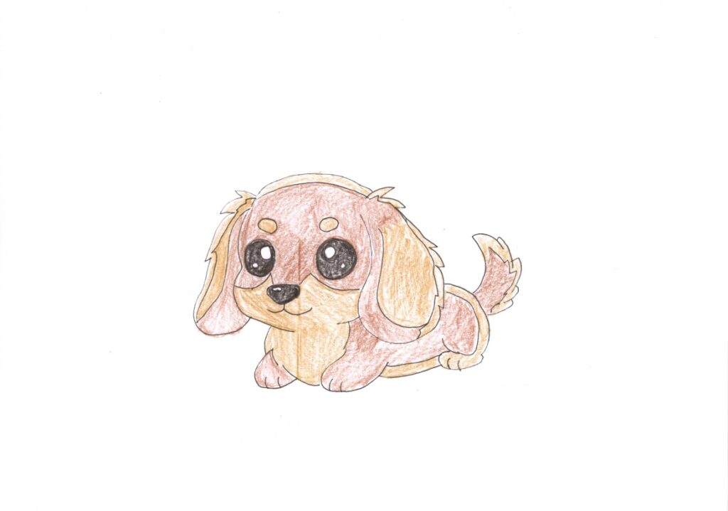 ミニチュアダックスのチャチャくん